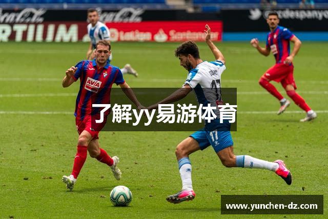 了解yy易游体育
